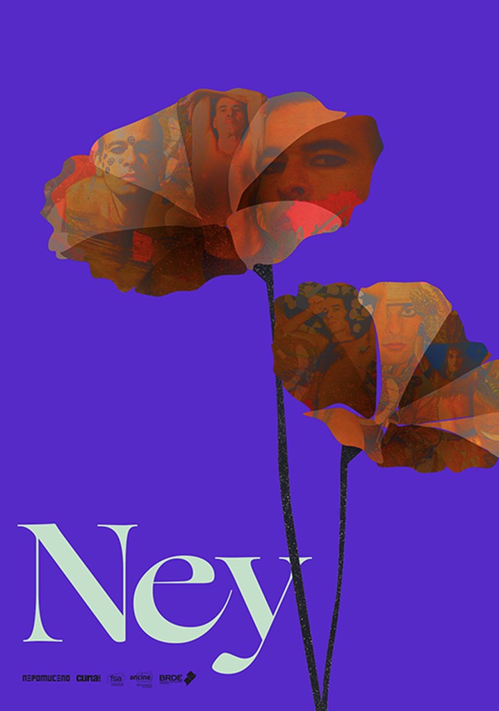 Ney À Flor da Pele filme Veja onde assistir